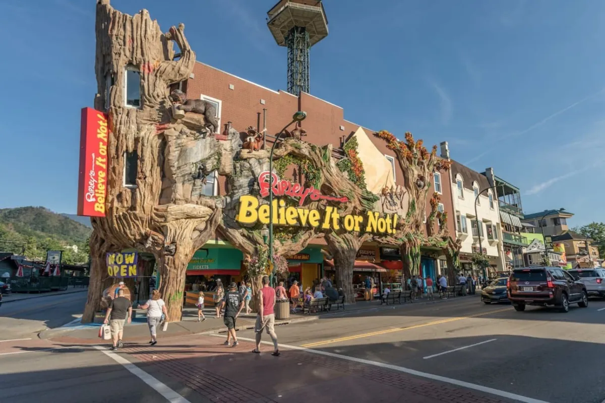 A quirky exterior view of a tree-themed museum with bright signage, surrounded by people walking and exploring nearby shops. The fun and curious mood hints at adventure and interactive attractions in the area.